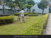 第29屆全國衛(wèi)生殺蟲藥械學(xué)術(shù)交流會在成都市召開